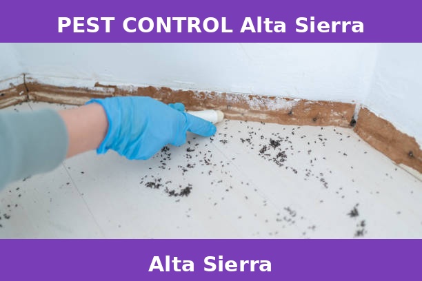PEST CONTROL Alta Sierra